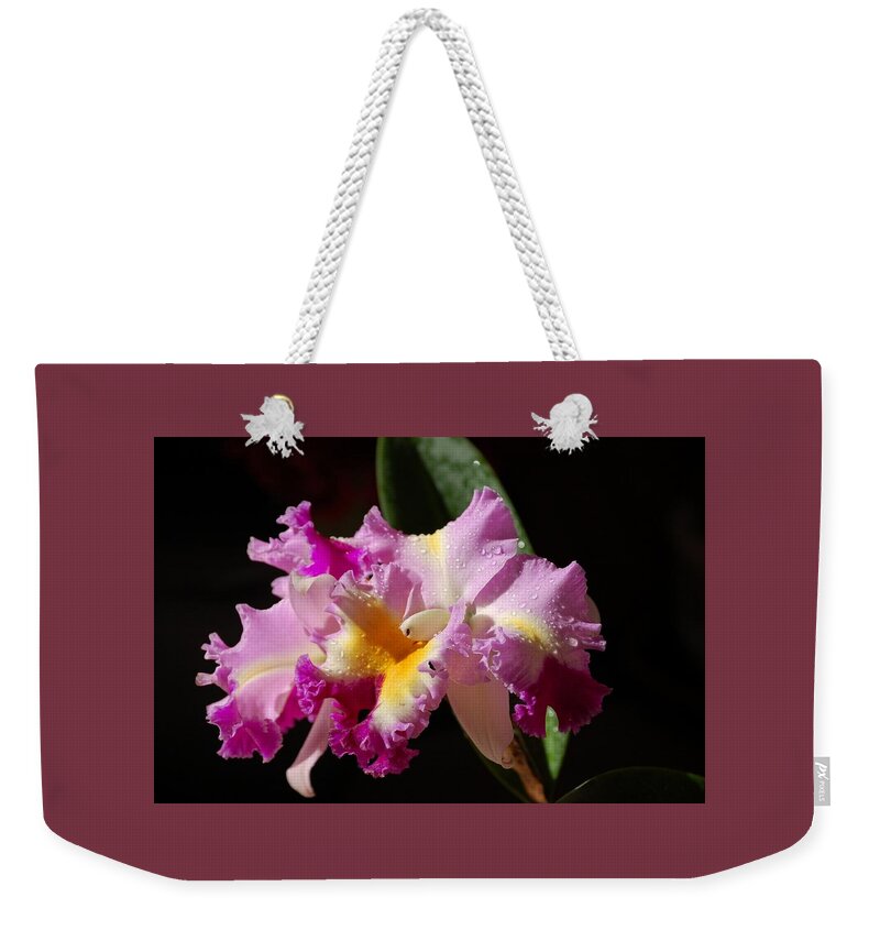 Orchid Weekender Tote Bag featuring the photograph Best Cattleya by Nancy Ayanna Wyatt