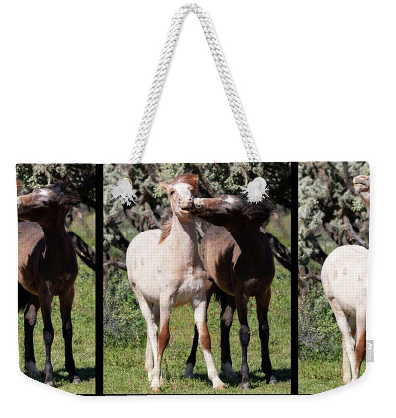 Wild Horses Weekender Tote Bag featuring the photograph Best friends Forever by Mary Hone