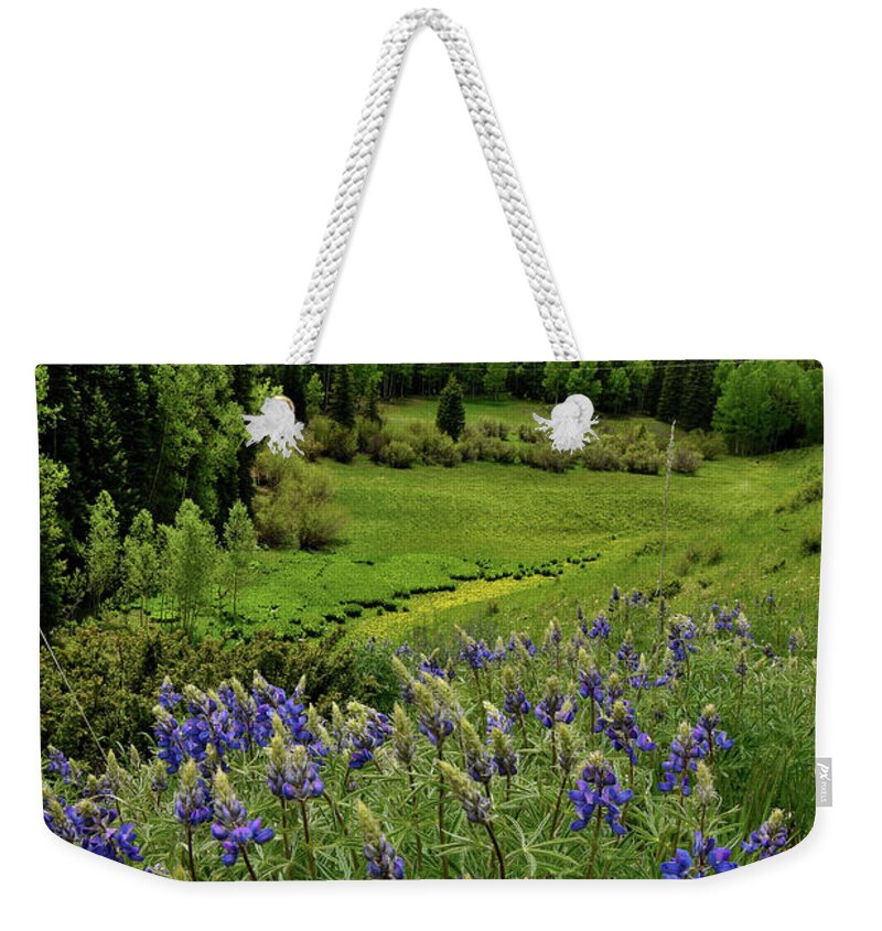 Highway 50 Weekender Tote Bag featuring the photograph Big Cimarron Lupine by Ray Mathis