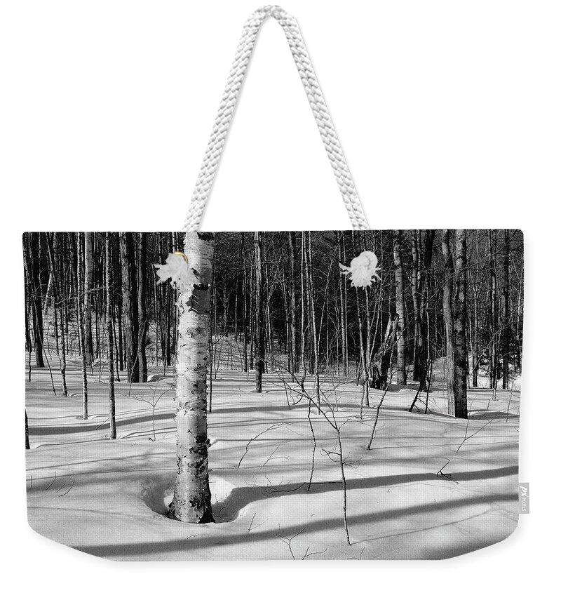 New Hampshire Weekender Tote Bag featuring the photograph Birch Shadow. by Jeff Sinon