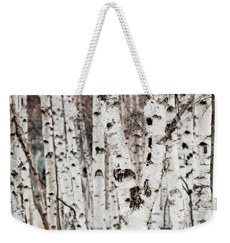 Outdoors Weekender Tote Bag featuring the photograph Birch Tree Grove Texture by Guillermo Murcia