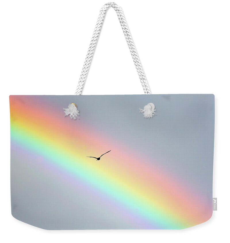 Rainbow Weekender Tote Bag featuring the photograph Bird Bow by Sean Davey