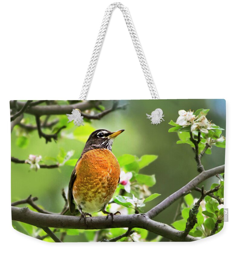 American Robin Weekender Tote Bag featuring the photograph Birds - American Robin - Nature's Alarm Clock by Christina Rollo