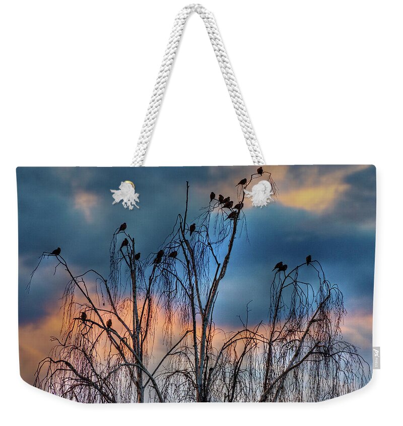 Birds Weekender Tote Bag featuring the photograph Birds at Sunset by John Rodrigues