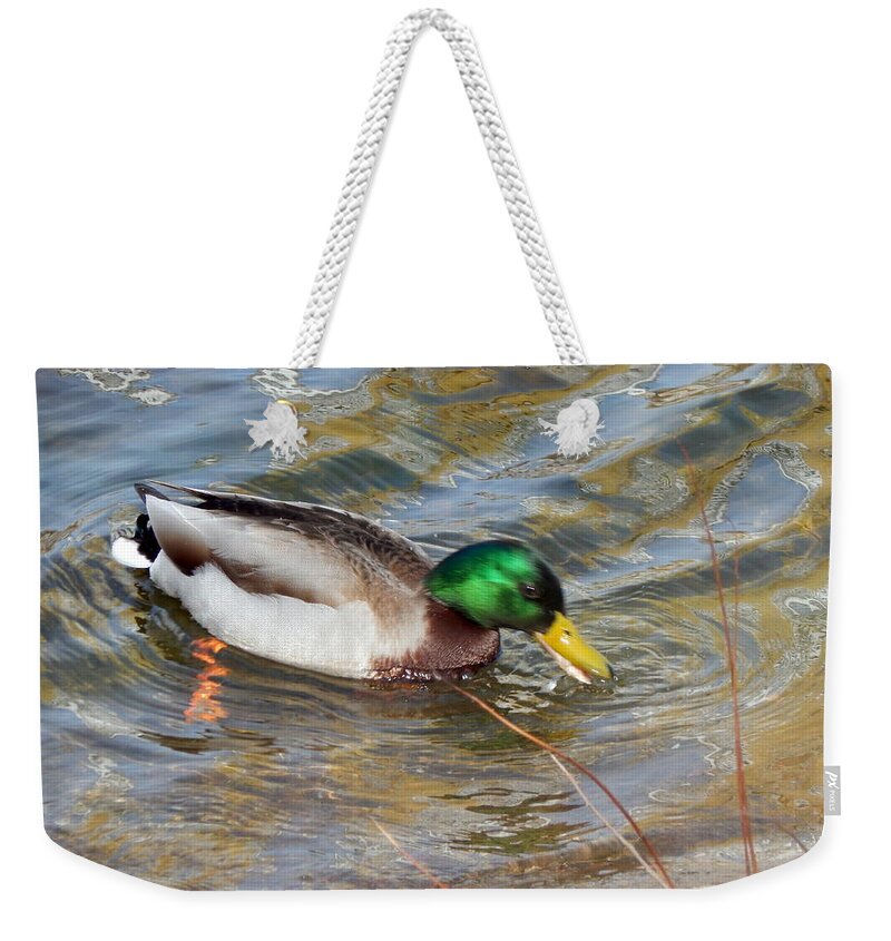 Poor Weekender Tote Bag featuring the photograph Birds in the aviary and at will by Oleg Prokopenko