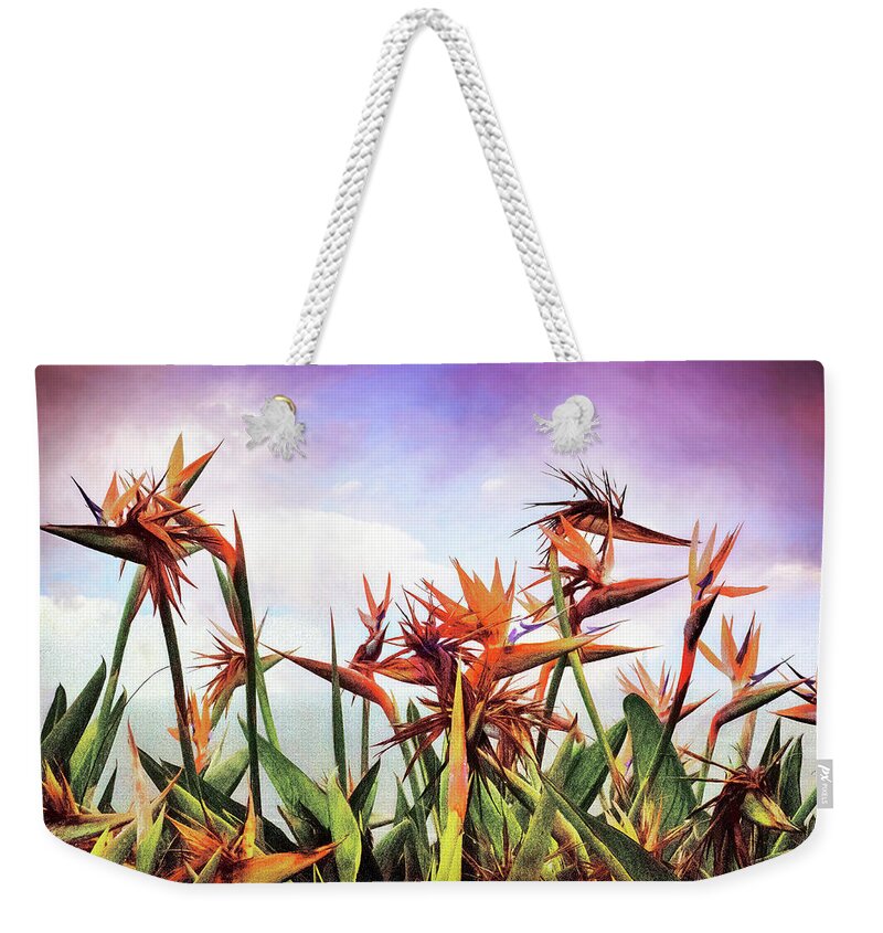 Birds Of Paradise Weekender Tote Bag featuring the mixed media Bird's Nest of Paradise by Joseph Hollingsworth