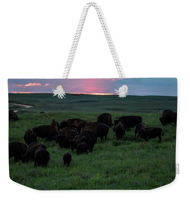Jay Stockhaus Weekender Tote Bag featuring the photograph Bison at Sunset by Jay Stockhaus