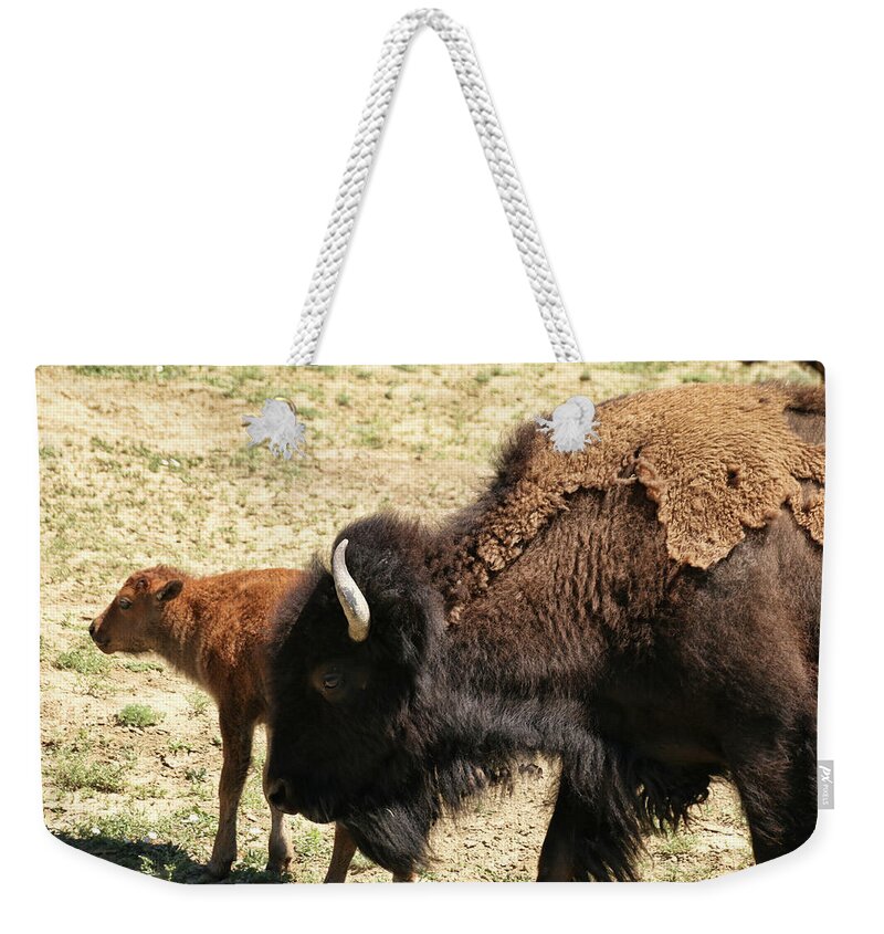 Buffalo Weekender Tote Bag featuring the photograph Bison in North Dakota by Ryan Crouse
