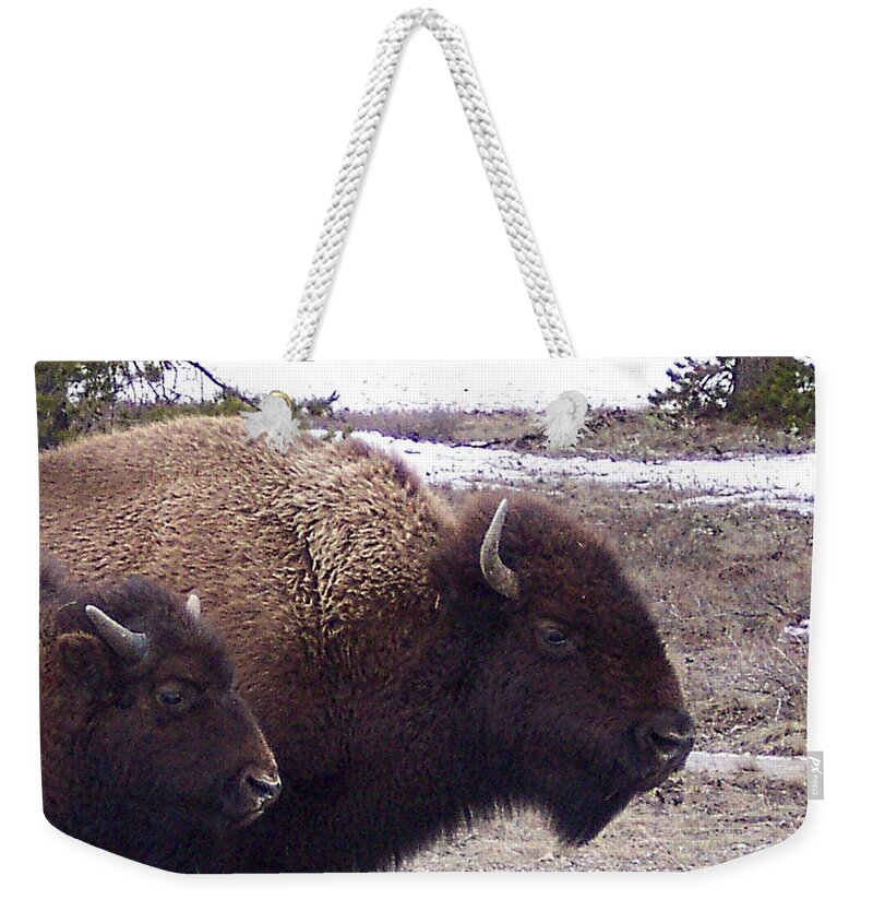 Yellowstone Weekender Tote Bag featuring the photograph Bison Mother and Calf by Enaid Silverwolf