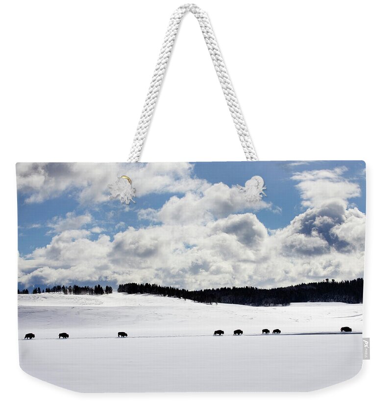 Scenics Weekender Tote Bag featuring the photograph Bison Trek Through Snow by Dmathies