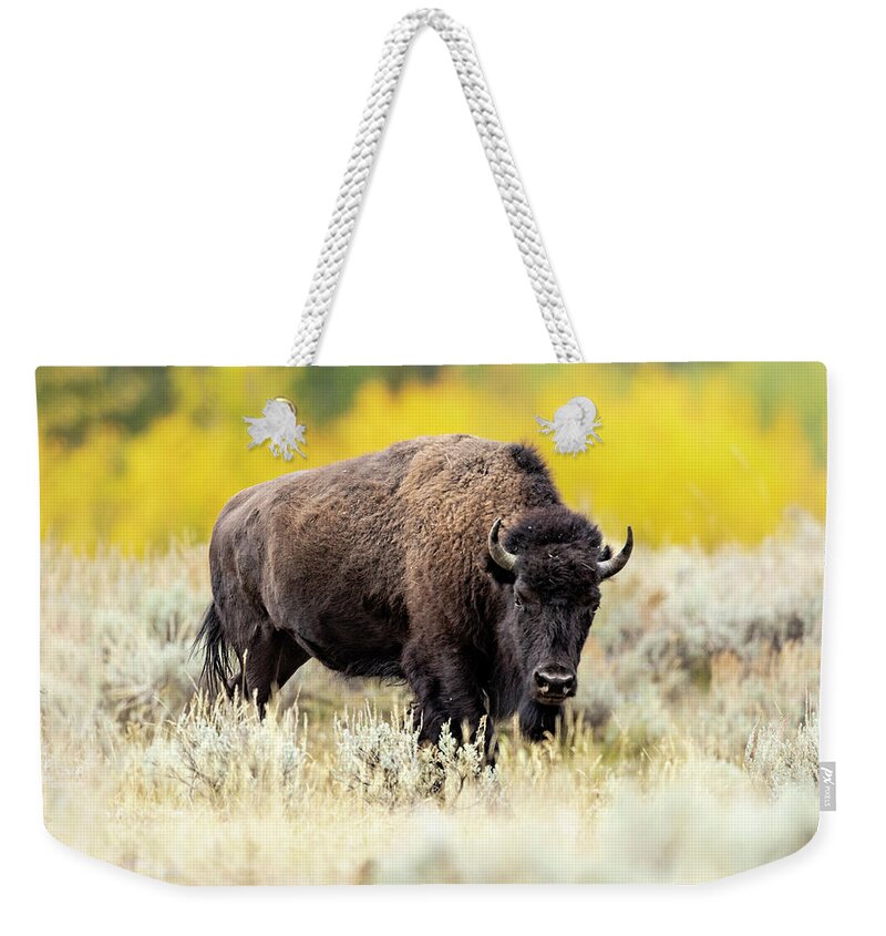 Bison Weekender Tote Bag featuring the photograph Bison with Fall Colors by Mark Harrington