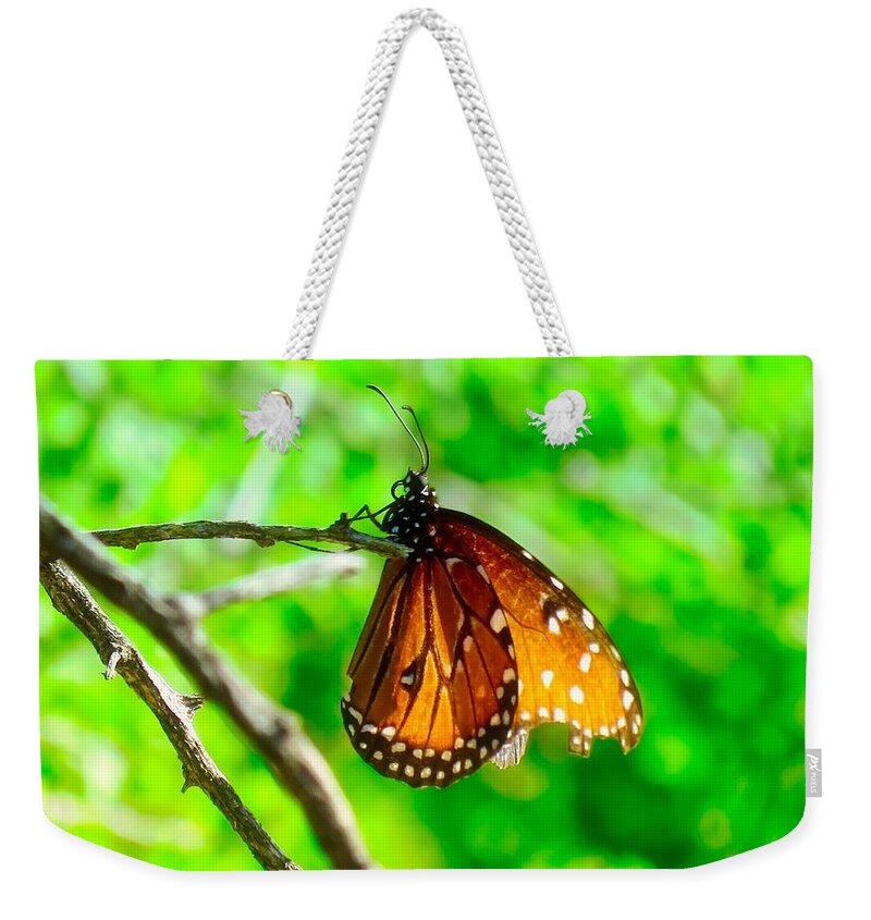 Animals Weekender Tote Bag featuring the photograph Bit but not Broken by Judy Kennedy