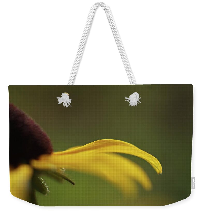 Black Eyed Susan Flower Weekender Tote Bag featuring the photograph Black Eye by Michelle Wermuth