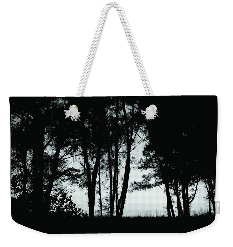 Forest Weekender Tote Bag featuring the photograph Black Forest by Robert Stanhope