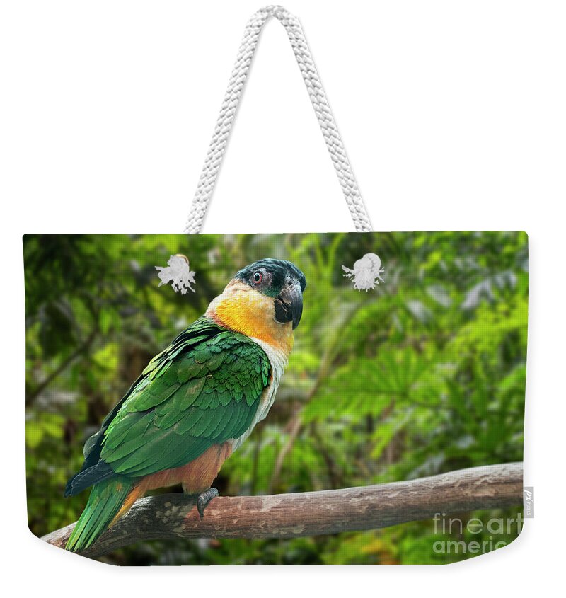 Black-headed Parrot Weekender Tote Bag featuring the photograph Black-headed Parrot by Arterra Picture Library