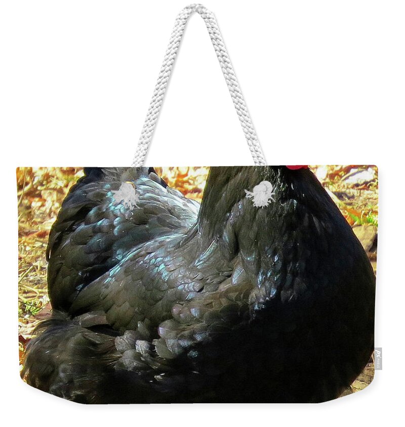 Black Chickens Weekender Tote Bag featuring the photograph Black Jersey Giant by Linda Stern