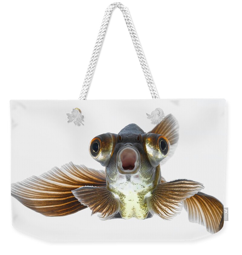Black Moor Goldfish Carassius Auratus Weekender Tote Bag by Don Farrall 