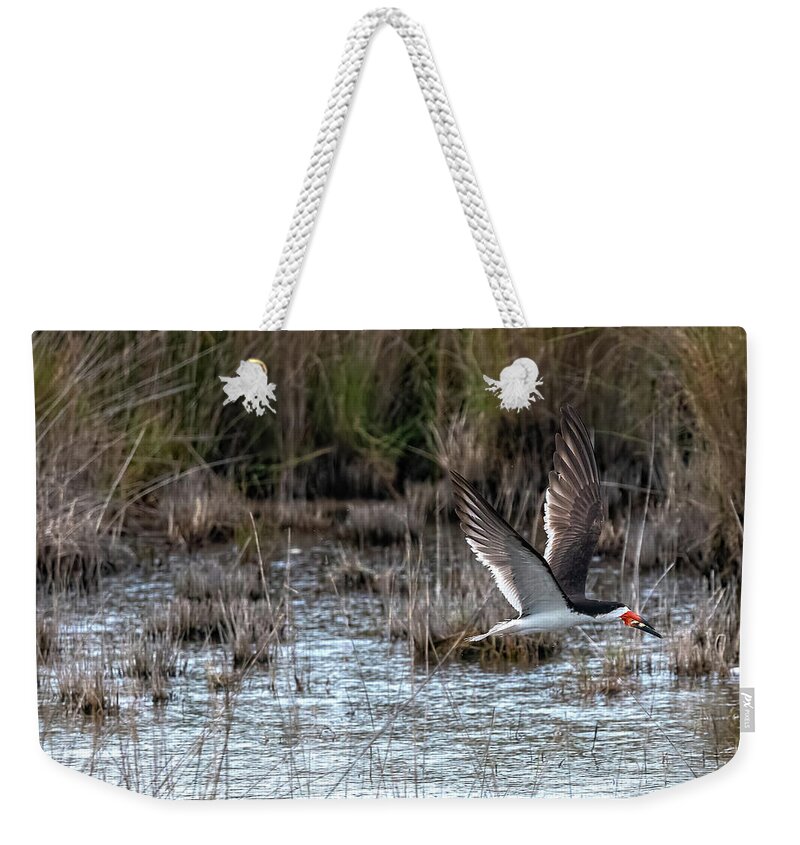 Birds Weekender Tote Bag featuring the photograph Black Skimmer Triumphs Close Up by DB Hayes