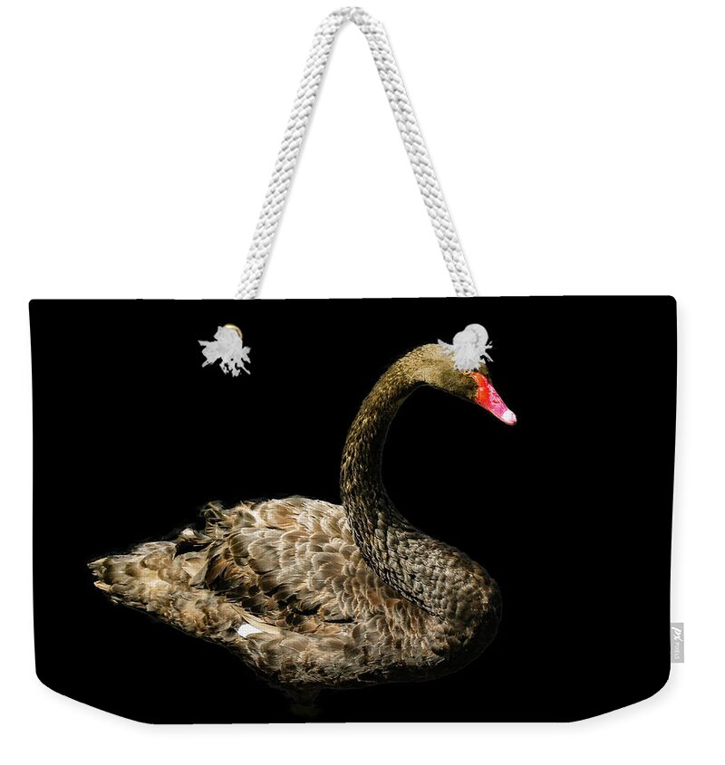 Swan Weekender Tote Bag featuring the photograph Black Swan on Black by Alison Frank