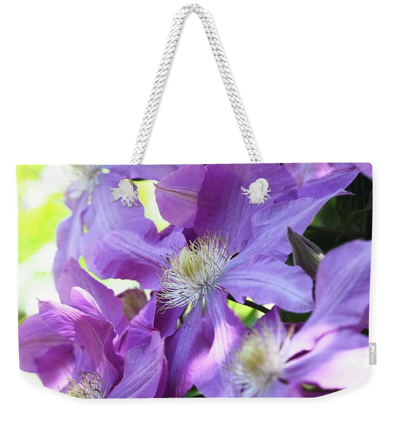 Clematis Weekender Tote Bag featuring the photograph Blooming by Yuka Kato
