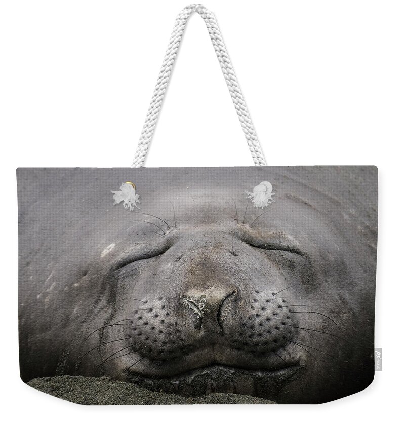Blubber Weekender Tote Bag featuring the photograph Blubbery Bliss by Alex Lapidus