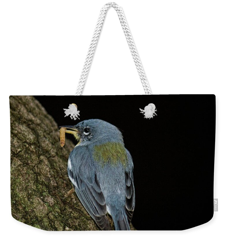 Animal Themes Weekender Tote Bag featuring the photograph Blue Bird Eating Worm by Melinda Moore