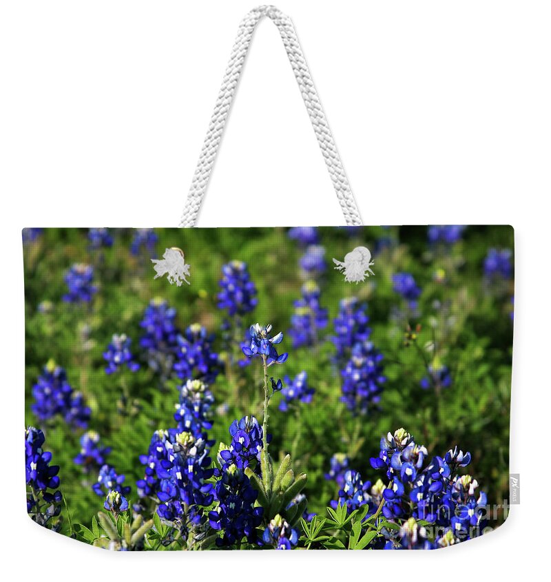 Blue Bonnets Weekender Tote Bag featuring the photograph Blue Bonnets From Heaven by Joan Bertucci