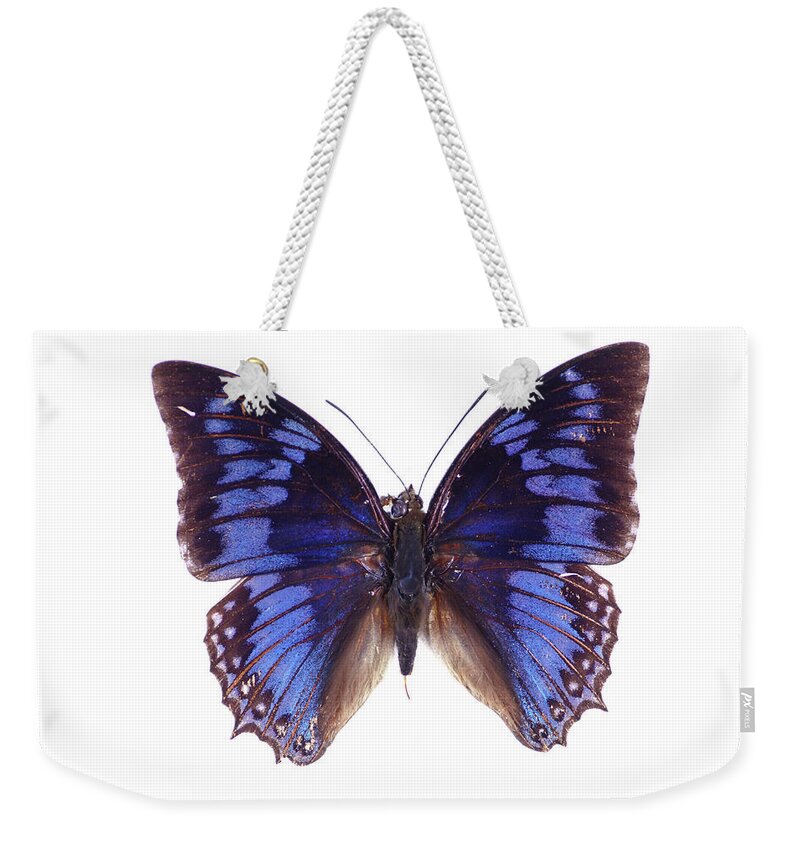 White Background Weekender Tote Bag featuring the photograph Blue Butterfly by Imv