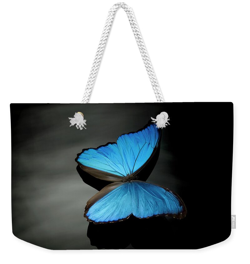 Tranquility Weekender Tote Bag featuring the photograph Blue Butterfly by Jonathan Knowles