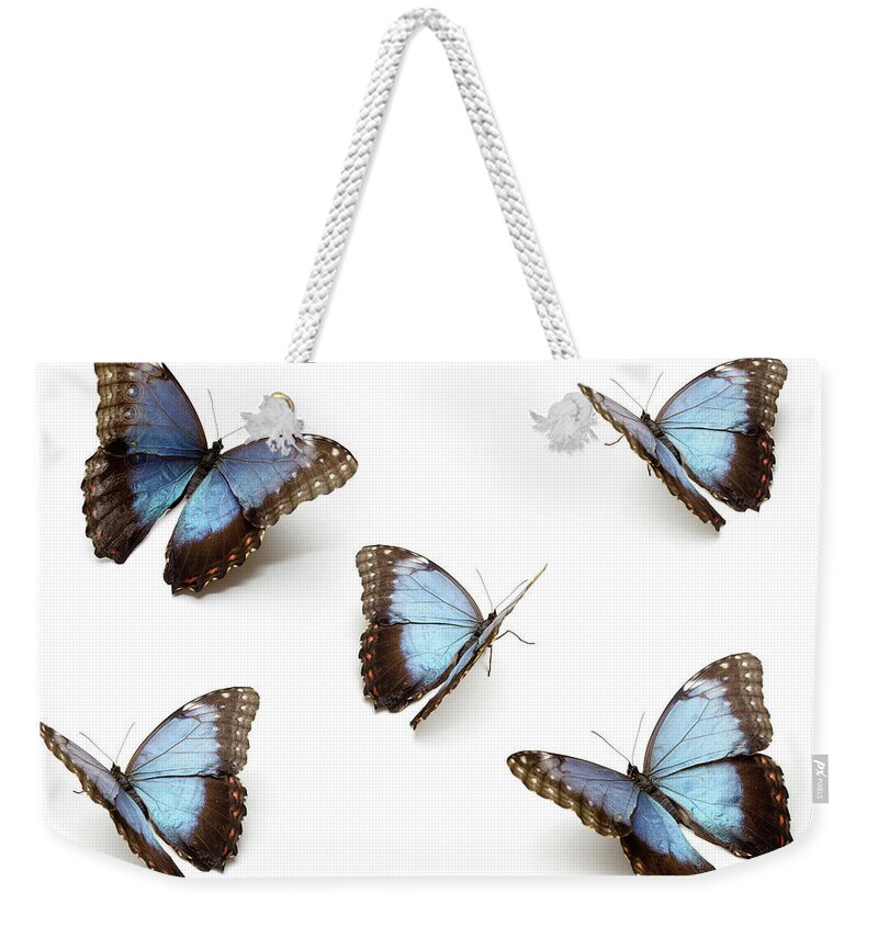 White Background Weekender Tote Bag featuring the photograph Blue Butterflys by Proxyminder