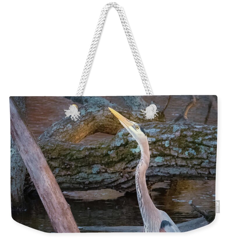 April Weekender Tote Bag featuring the photograph Blue Eagle Eyed by Sylvia J Zarco