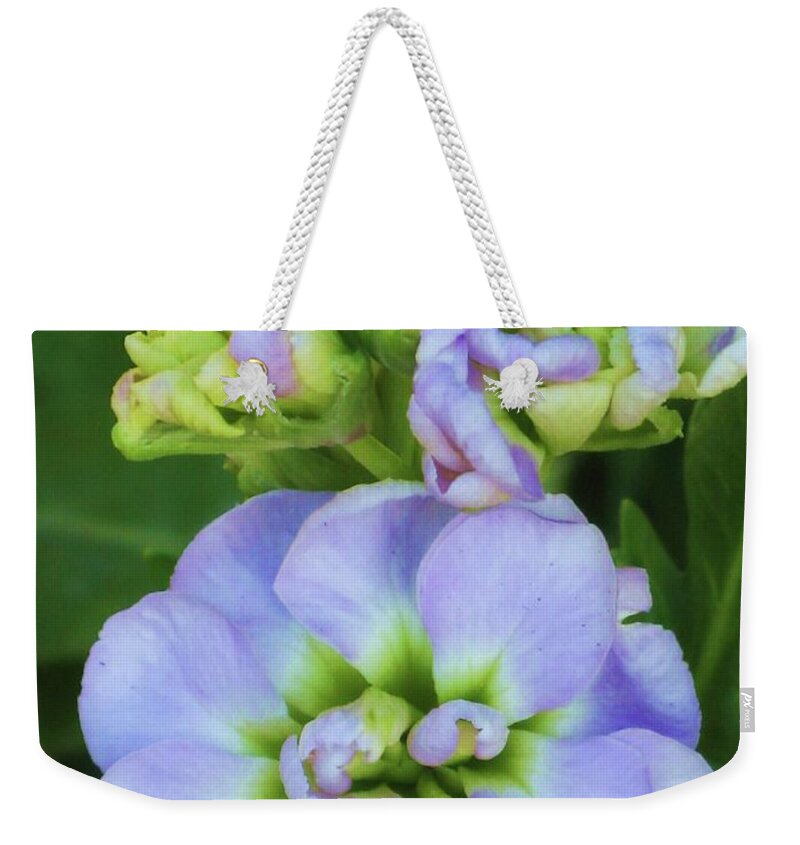 Purple Weekender Tote Bag featuring the photograph Blue Flower by Daniela Duncan