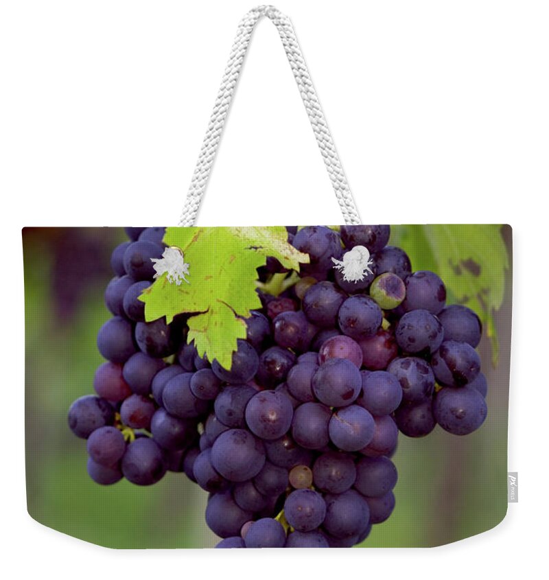 Sonoma County Weekender Tote Bag featuring the photograph Blue Grape Wine by Farbenrausch