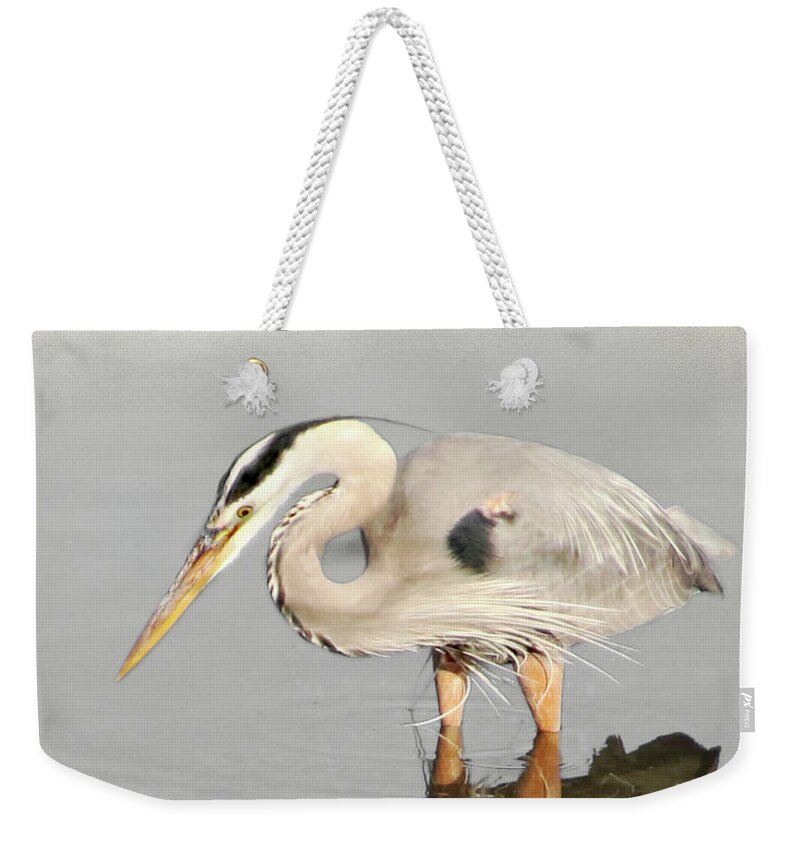 Bird Weekender Tote Bag featuring the photograph Blue Heron 1 by Karen Lynch