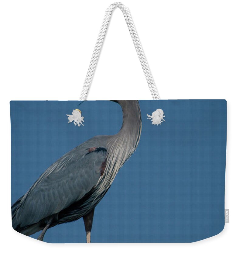 Herons Weekender Tote Bag featuring the photograph Blue Heron 2011-0322 by Donald Brown