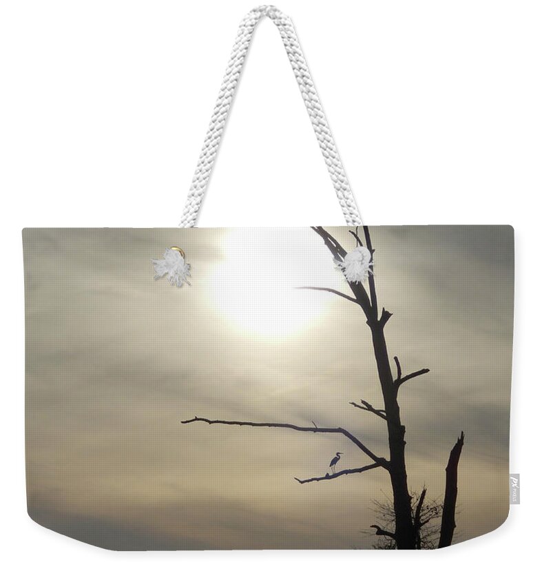 Blue Heron Weekender Tote Bag featuring the photograph Blue Heron Perch by Michael Frank