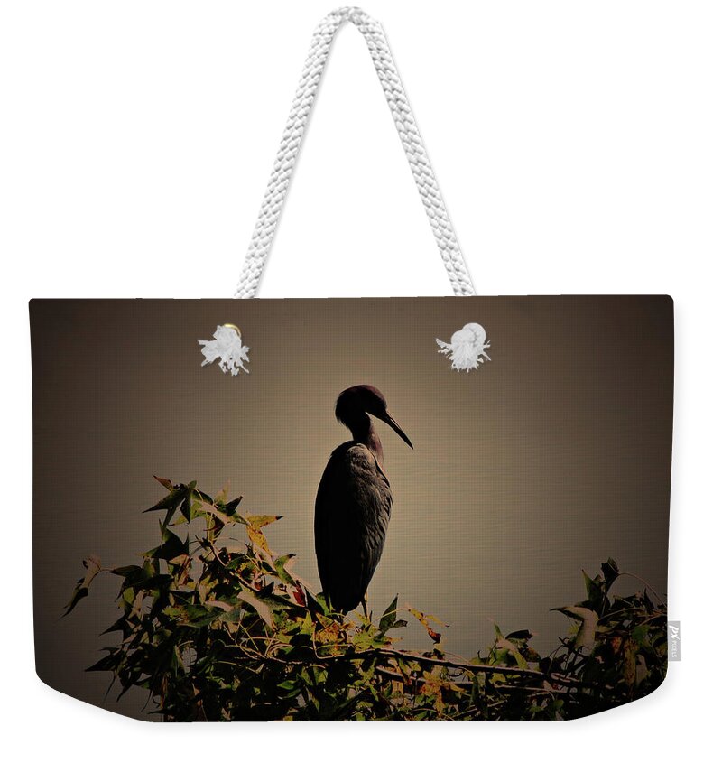 Animal Themes Weekender Tote Bag featuring the photograph Blue Heron Standing Alone by Daniela Duncan
