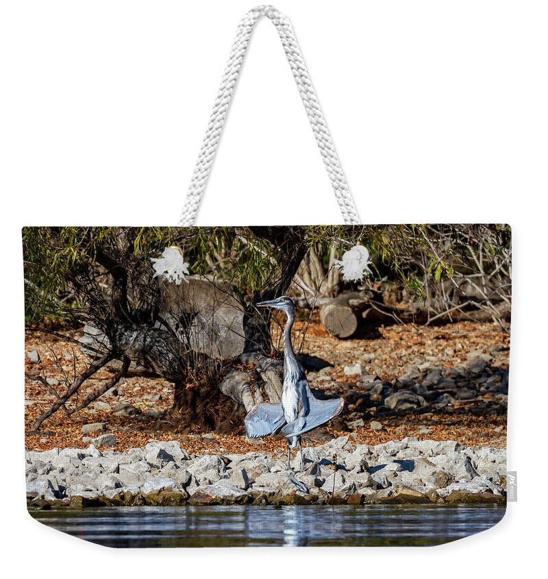 Blue Heron Weekender Tote Bag featuring the photograph Blue Heron Sunning by David Wagenblatt