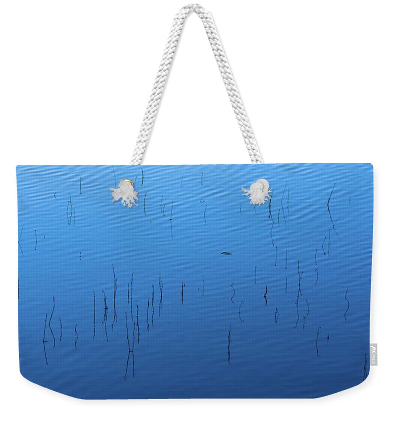 Reed Weekender Tote Bag featuring the photograph Blue Hour Reeds on a Pond by William Dickman