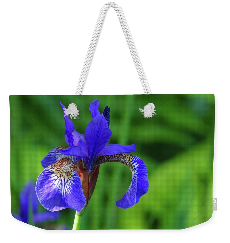 Blue Weekender Tote Bag featuring the photograph Blue Iris by Julia Wilcox