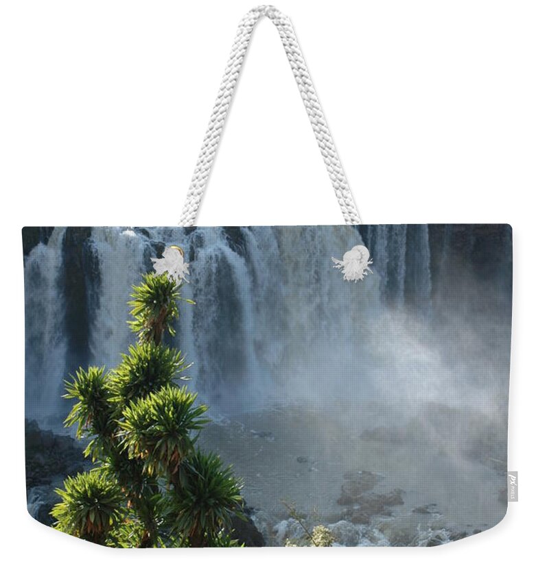 Blue Nile Weekender Tote Bag featuring the photograph Blue Nile Falls, Ethiopia by Christophe cerisier