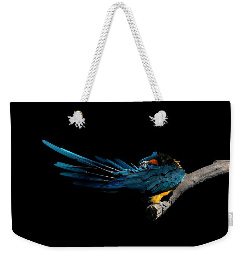 Macaw Weekender Tote Bag featuring the photograph Blue-throated Macaw Preening by © Debi Dalio