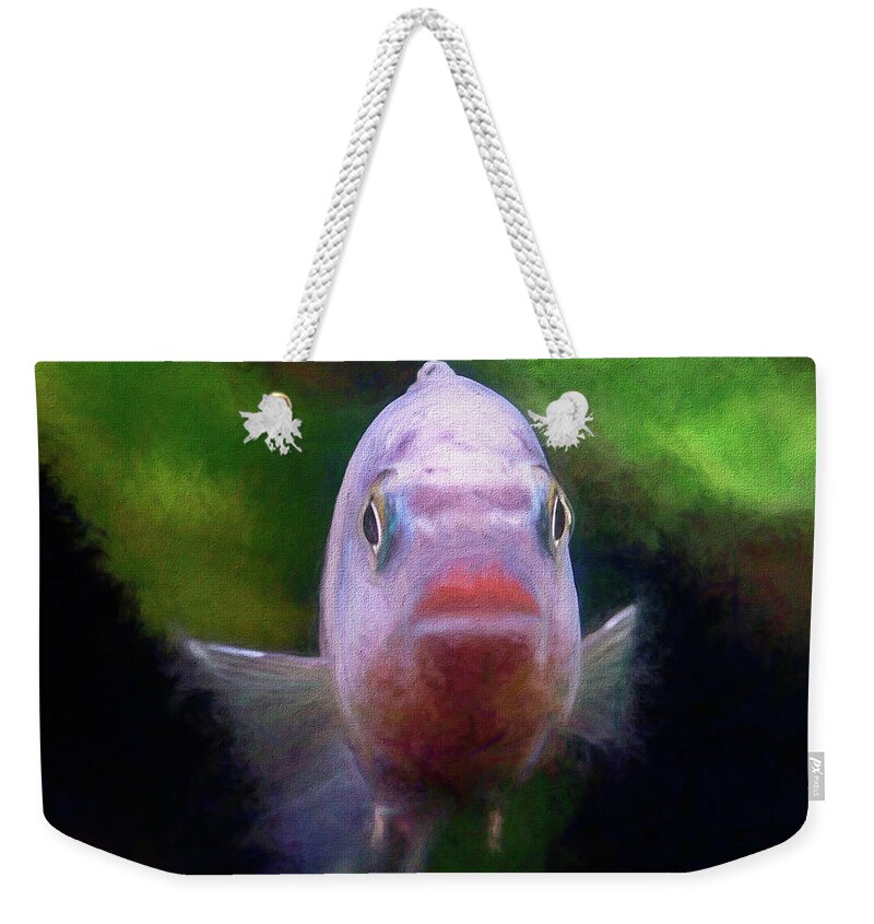 African Cichlid Weekender Tote Bag featuring the digital art Blue Zebra Headshot Painting by Don Northup