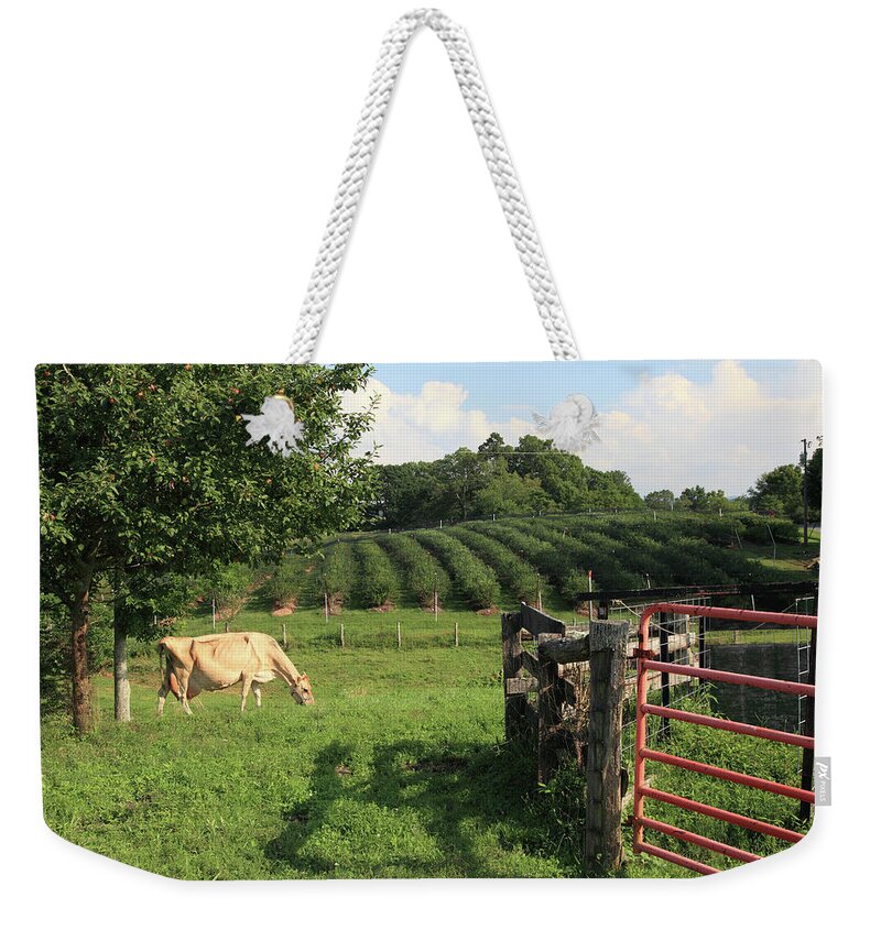 Grass Weekender Tote Bag featuring the photograph Blueberry Farming by Mountainberryphoto