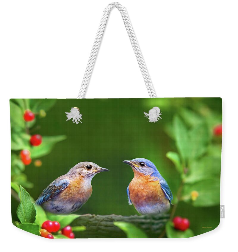 Bluebirds Weekender Tote Bag featuring the photograph Bluebird Pair by Christina Rollo