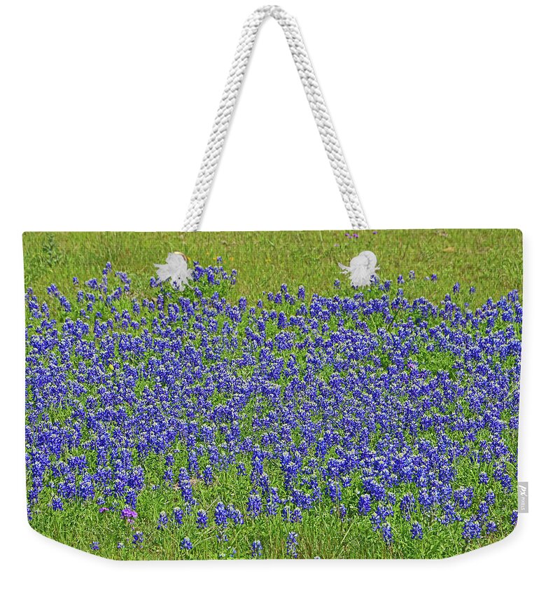 Texas Weekender Tote Bag featuring the photograph Bluebonnets of Texas by Allen Beatty