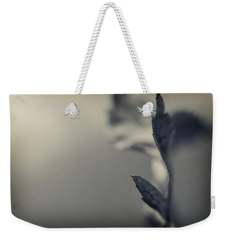 Leaf Weekender Tote Bag featuring the photograph Blurred Lines by Michelle Wermuth