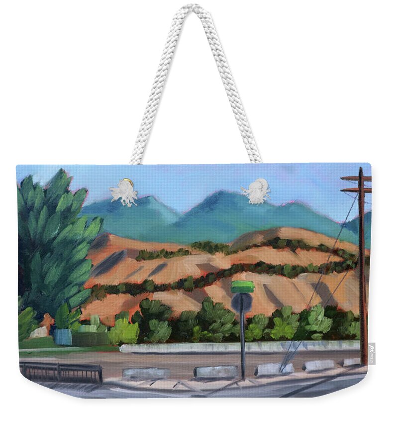 Boise Idaho Weekender Tote Bag featuring the painting Boise Foothills by Kevin Hughes