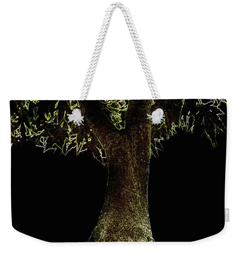 Outdoors Weekender Tote Bag featuring the photograph Bonsai Tree With Moss At Night by Michael Duva