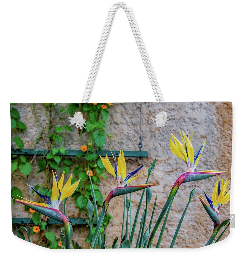 Bird Of Paradise Weekender Tote Bag featuring the photograph Botanical Art by Marcy Wielfaert